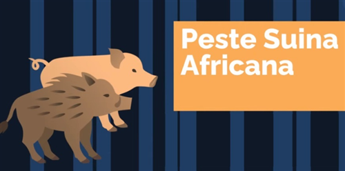 Attuazione delle misure di biosicurezza per il contrasto alla peste suina africana (PSA)